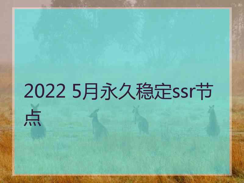 2022 5月永久稳定ssr节点