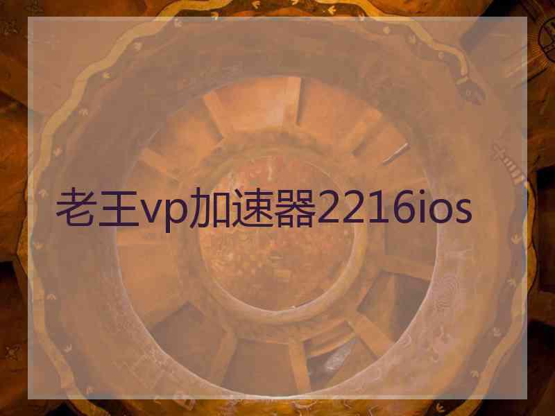 老王vp加速器2216ios