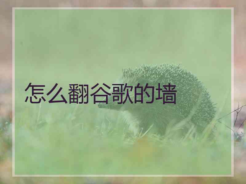 怎么翻谷歌的墙
