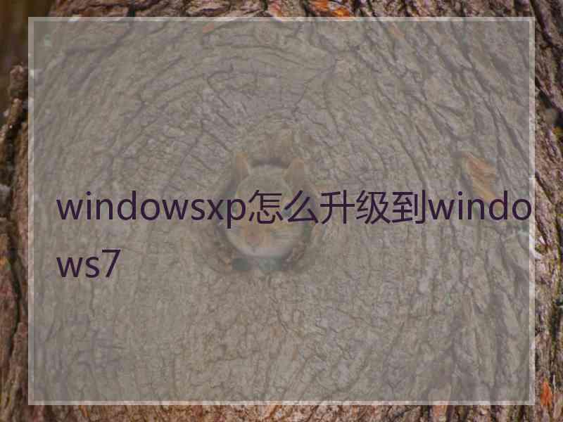 windowsxp怎么升级到windows7