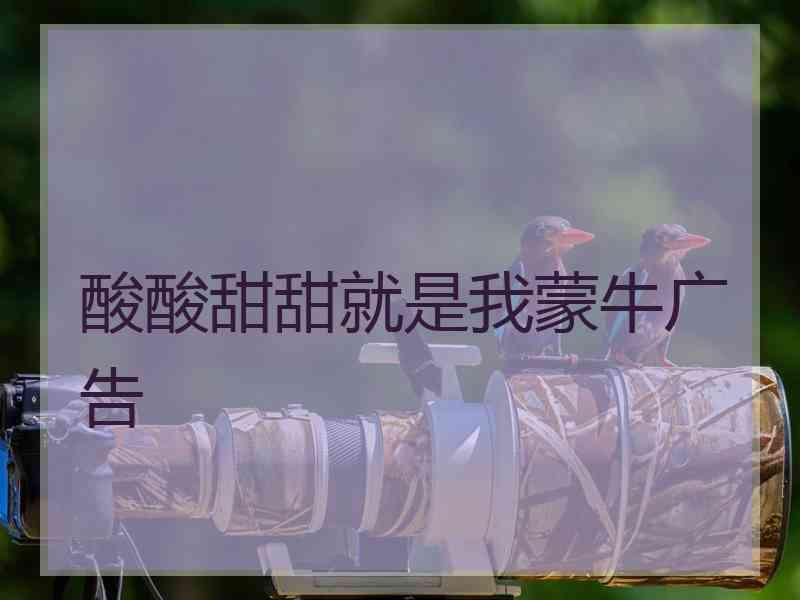 酸酸甜甜就是我蒙牛广告