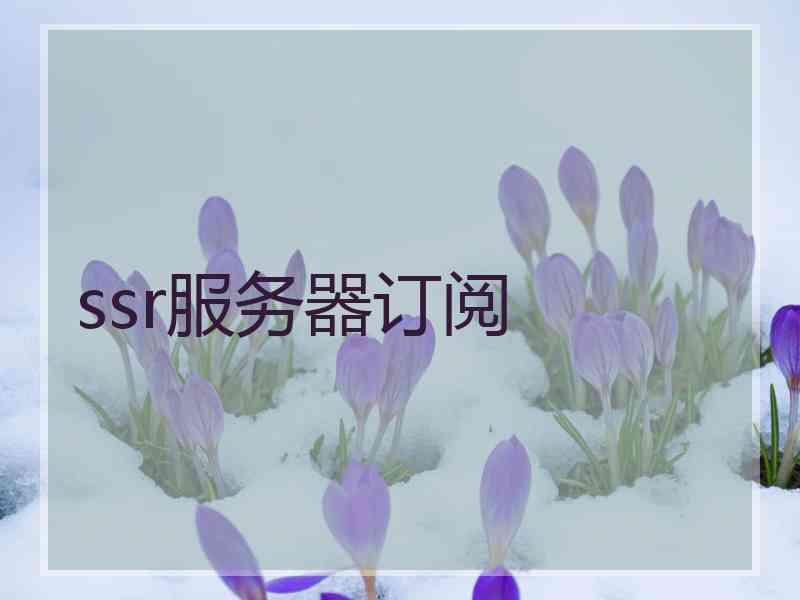 ssr服务器订阅