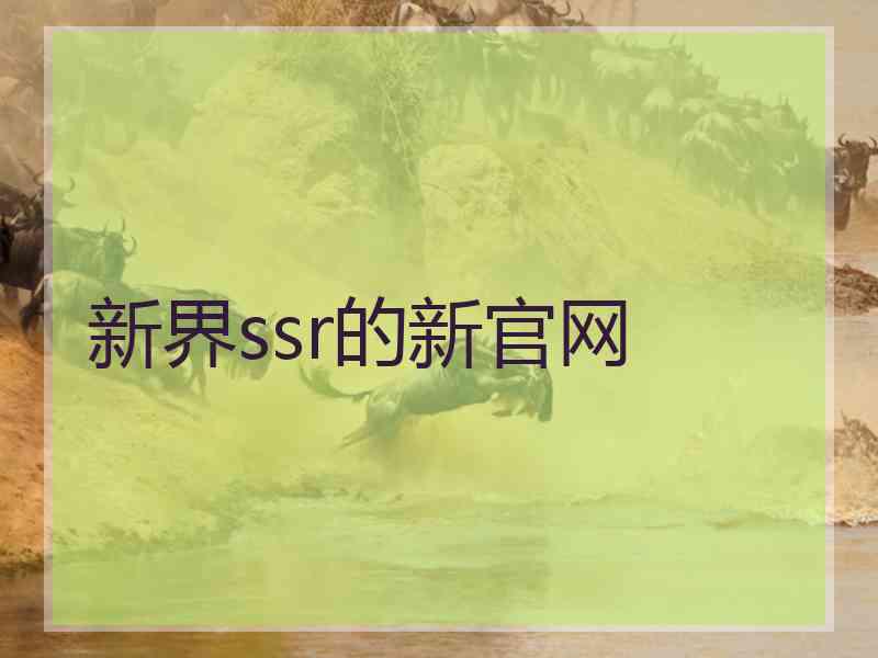 新界ssr的新官网