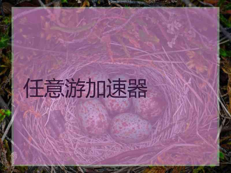 任意游加速器