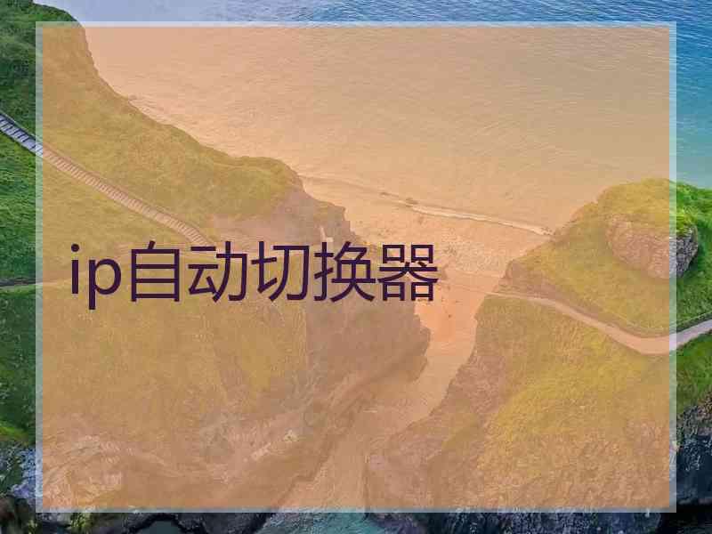 ip自动切换器