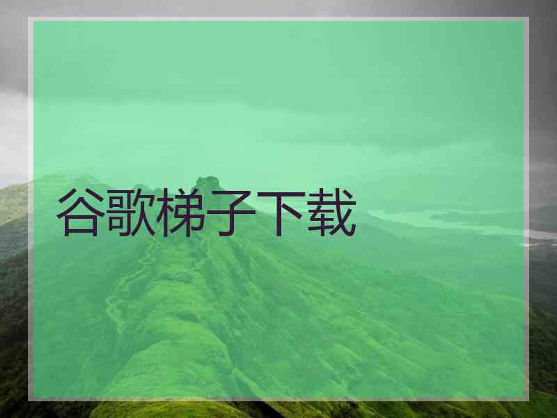 谷歌梯子下载