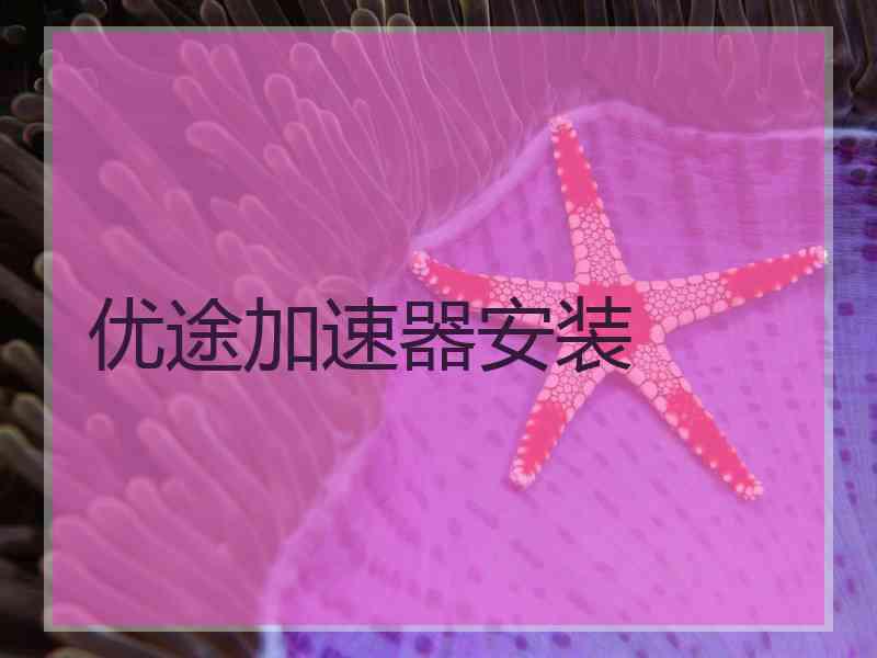 优途加速器安装
