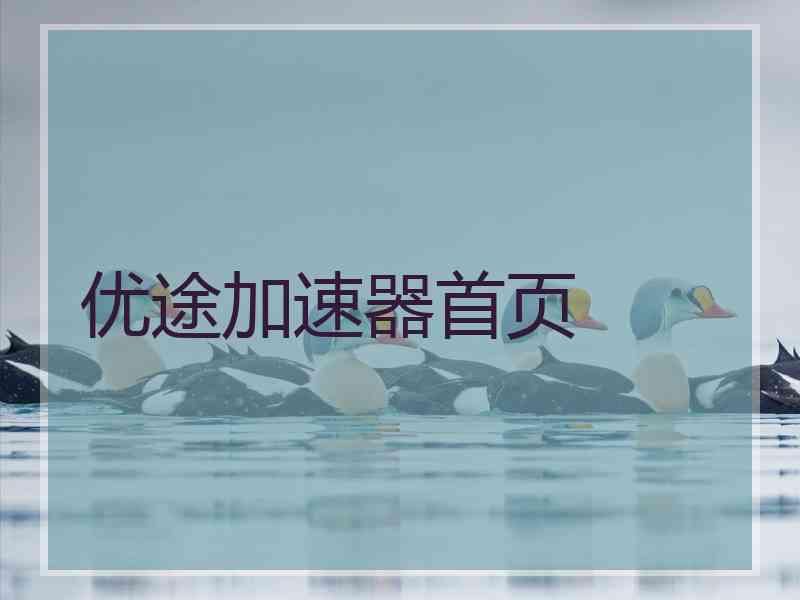 优途加速器首页