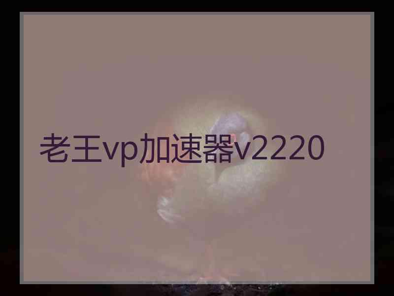 老王vp加速器v2220