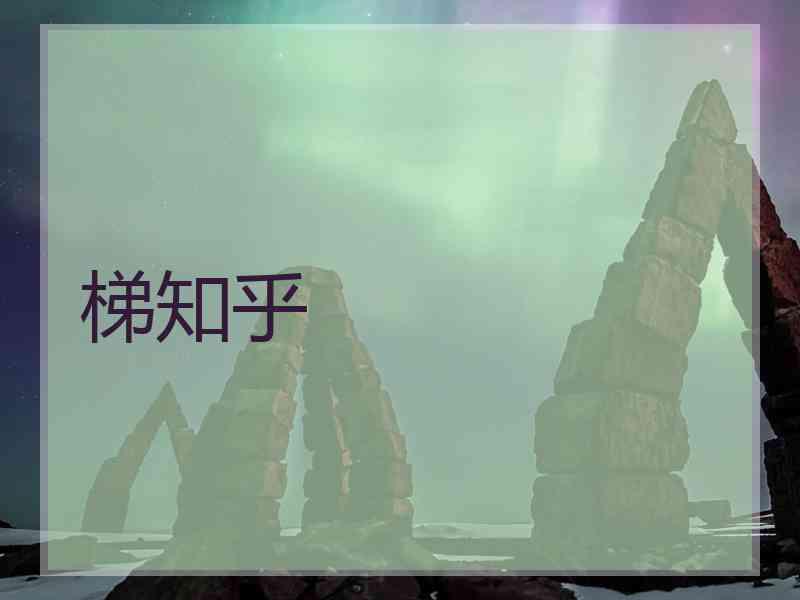 梯知乎