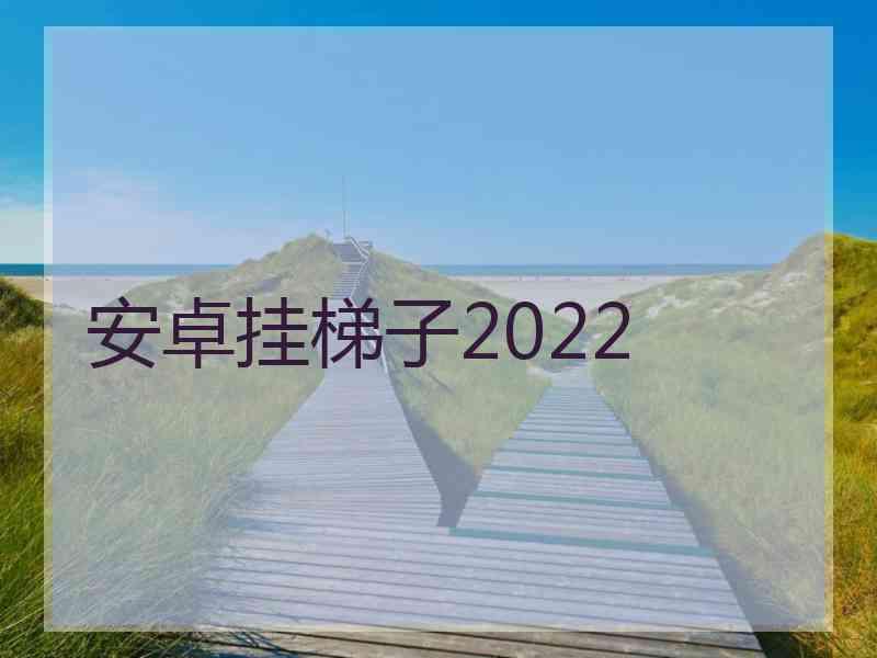安卓挂梯子2022