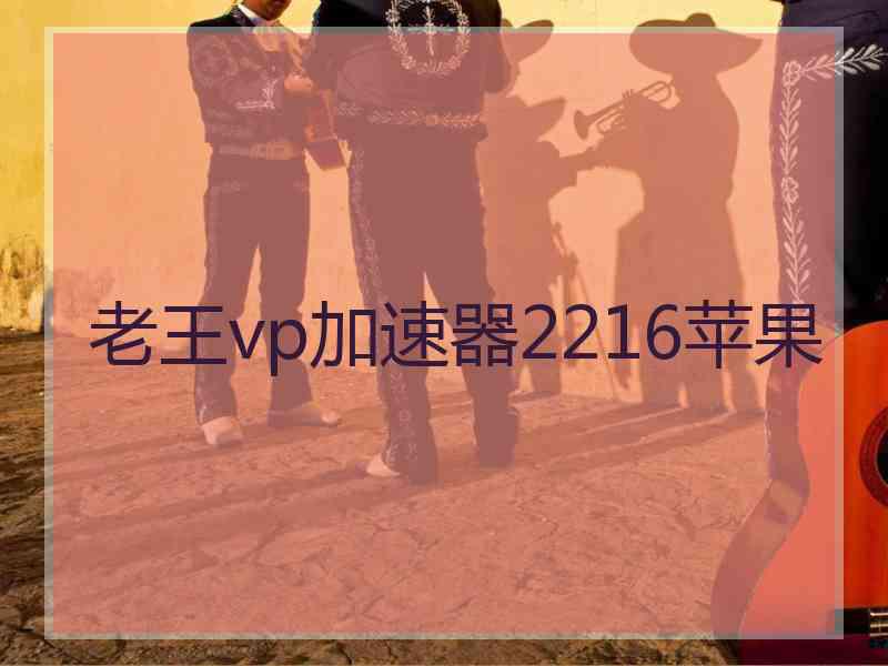 老王vp加速器2216苹果