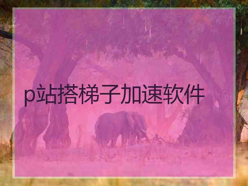 p站搭梯子加速软件