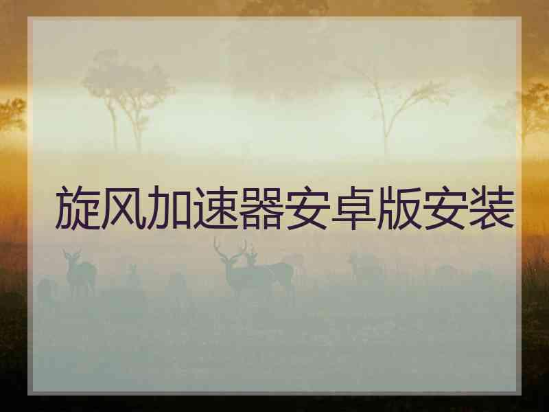 旋风加速器安卓版安装