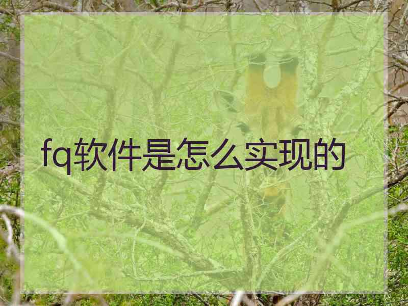 fq软件是怎么实现的