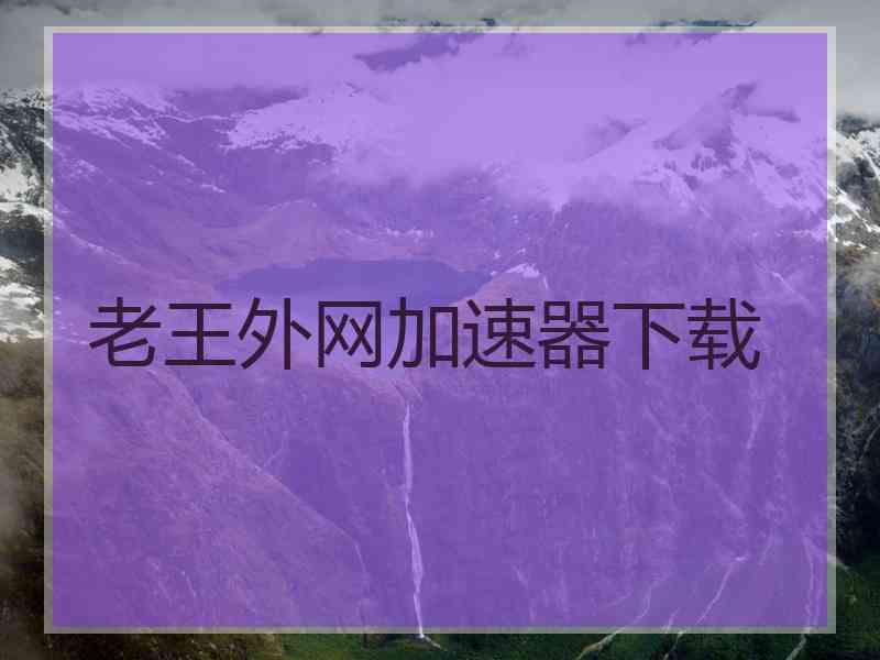 老王外网加速器下载