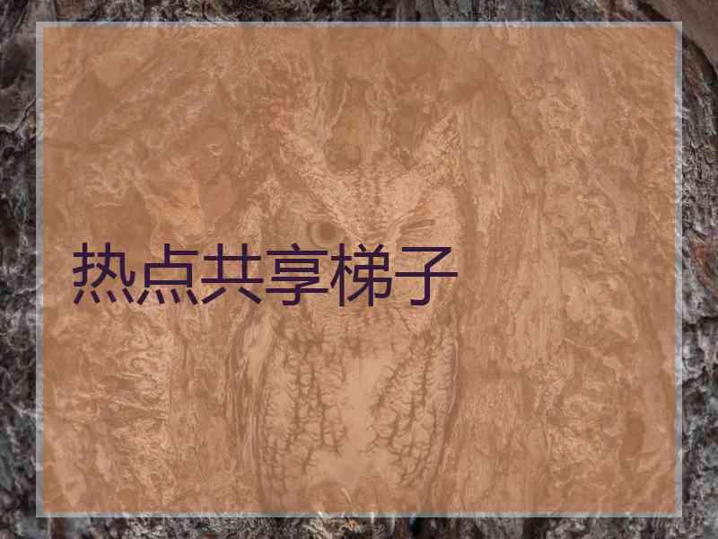 热点共享梯子