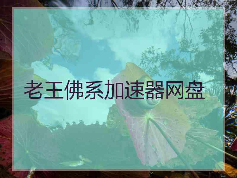 老王佛系加速器网盘
