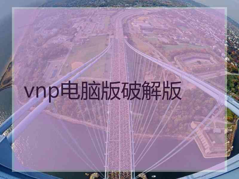 vnp电脑版破解版
