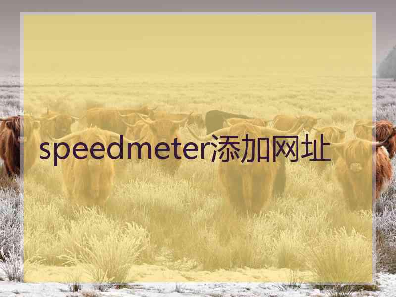 speedmeter添加网址