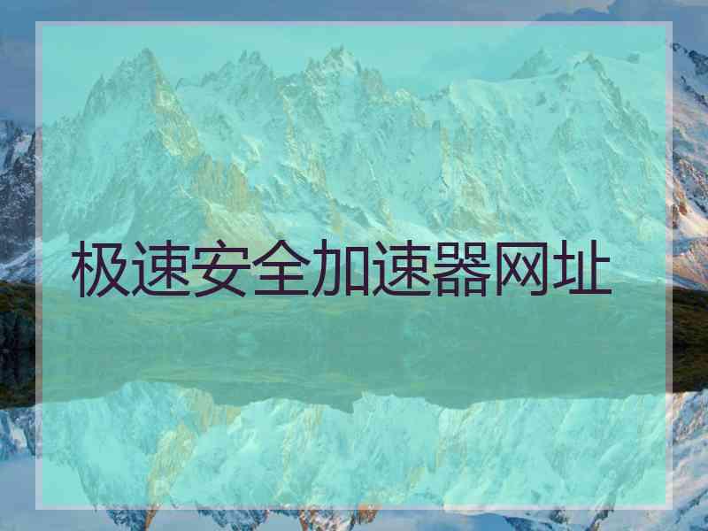 极速安全加速器网址