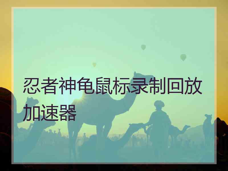 忍者神龟鼠标录制回放加速器