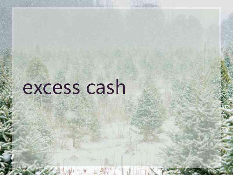excess cash