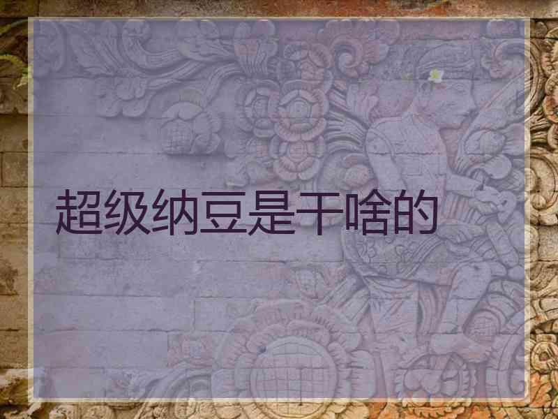 超级纳豆是干啥的