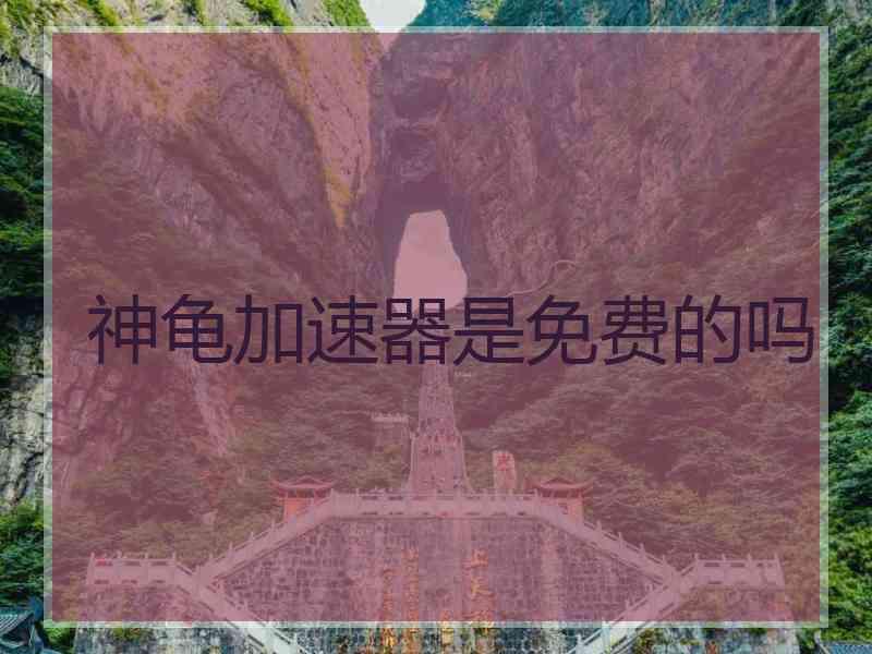 神龟加速器是免费的吗