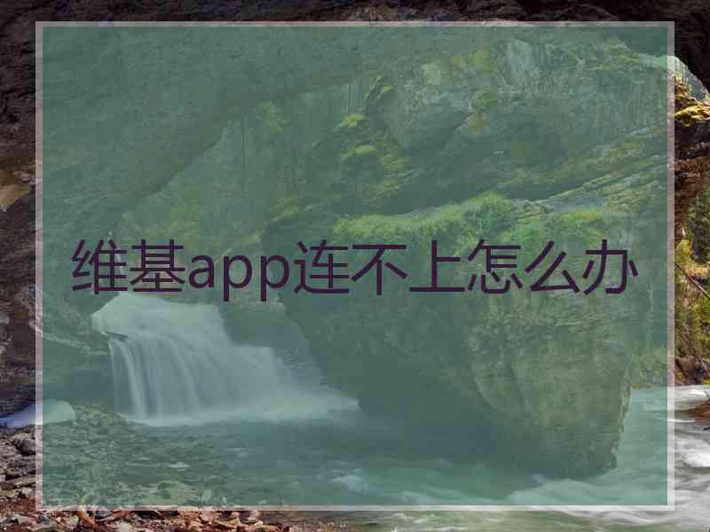 维基app连不上怎么办