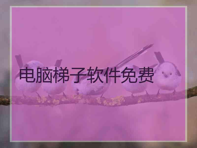 电脑梯子软件免费