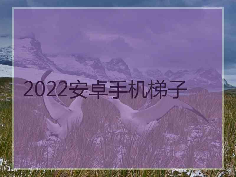 2022安卓手机梯子