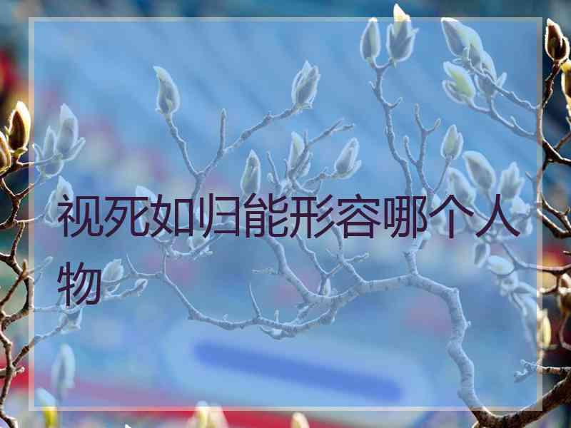 视死如归能形容哪个人物