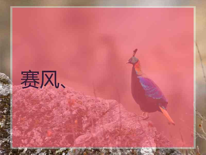 赛风、