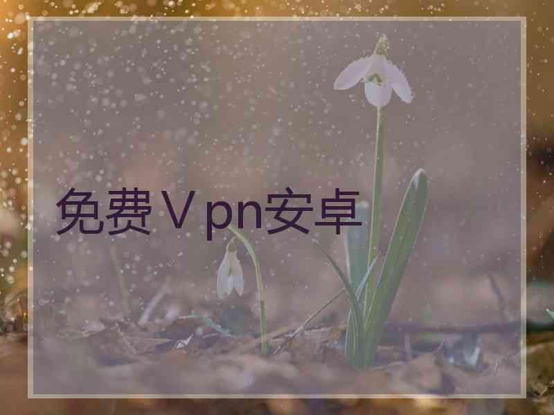 免费Ⅴpn安卓