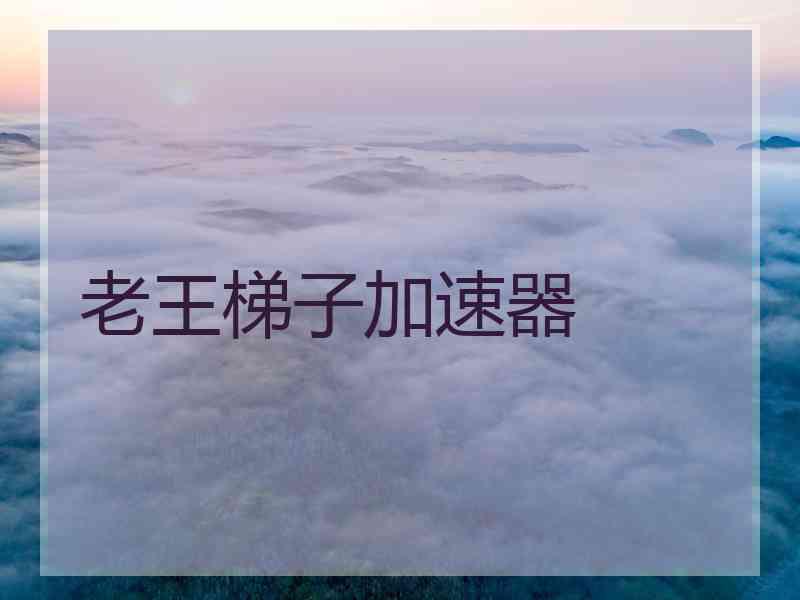 老王梯子加速器
