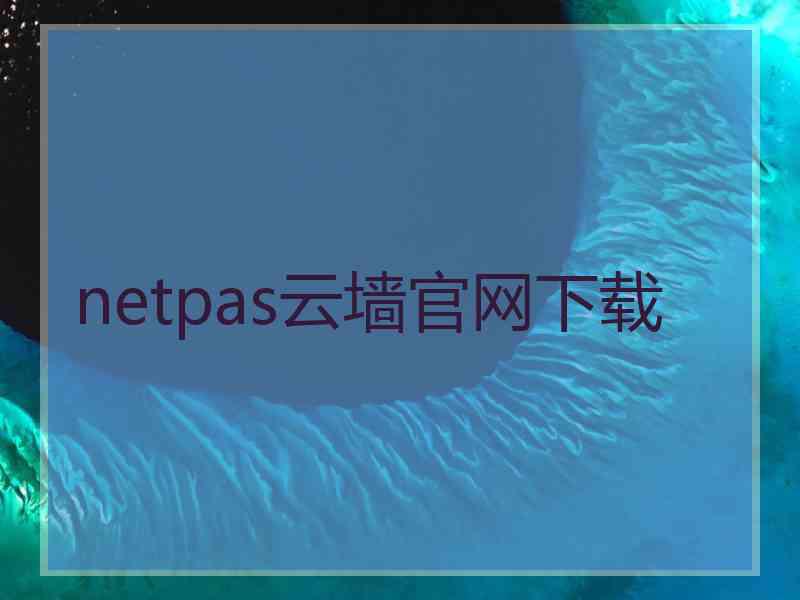 netpas云墙官网下载