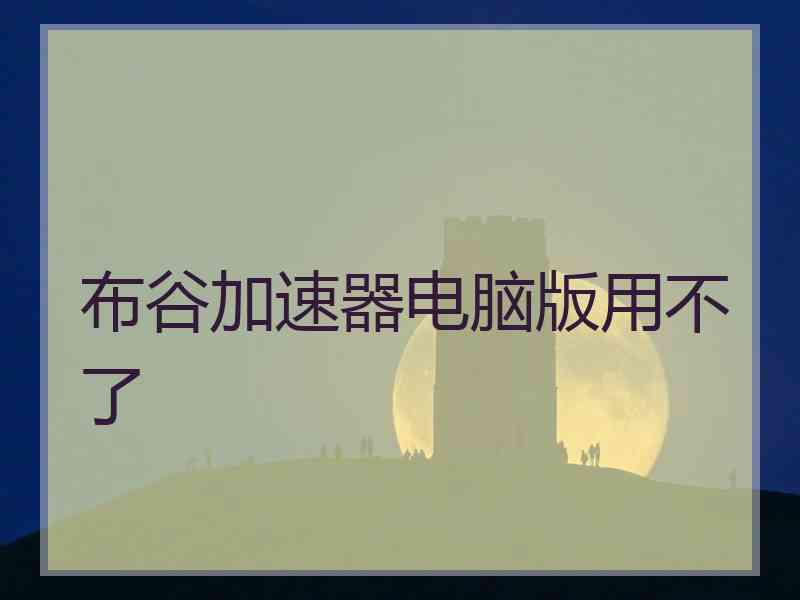 布谷加速器电脑版用不了