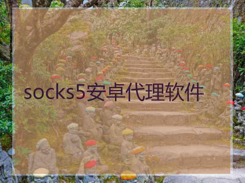 socks5安卓代理软件