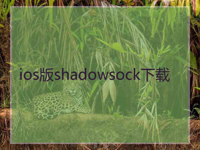 ios版shadowsock下载