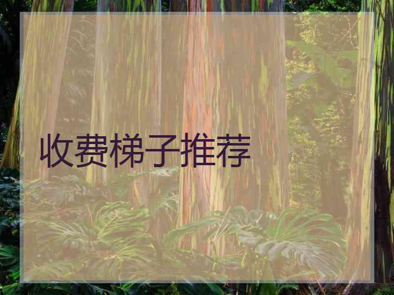 收费梯子推荐
