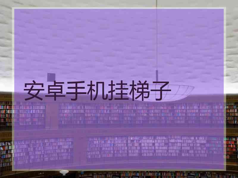 安卓手机挂梯子