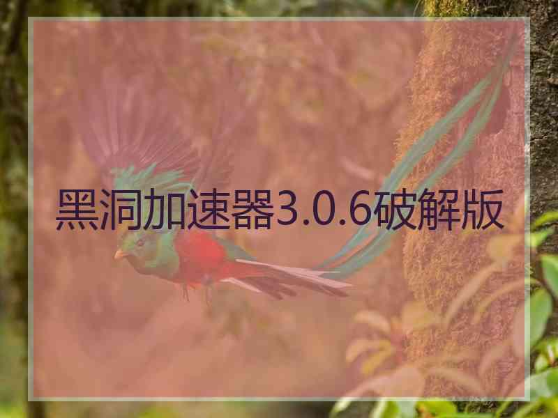 黑洞加速器3.0.6破解版