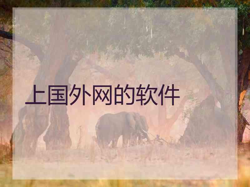 上国外网的软件