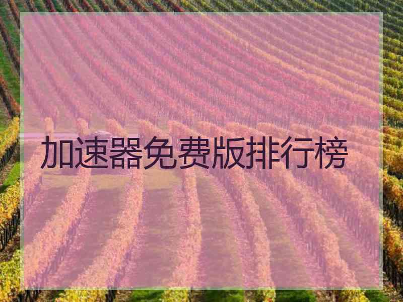 加速器免费版排行榜