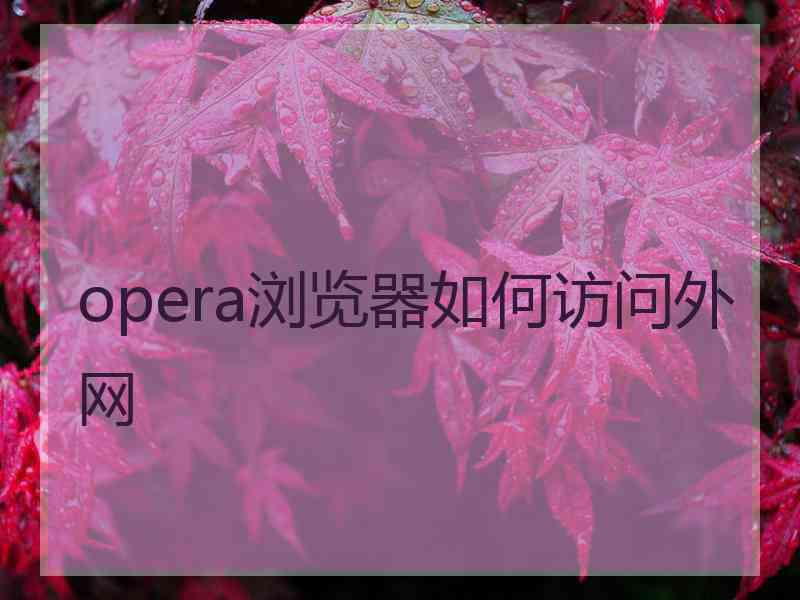 opera浏览器如何访问外网