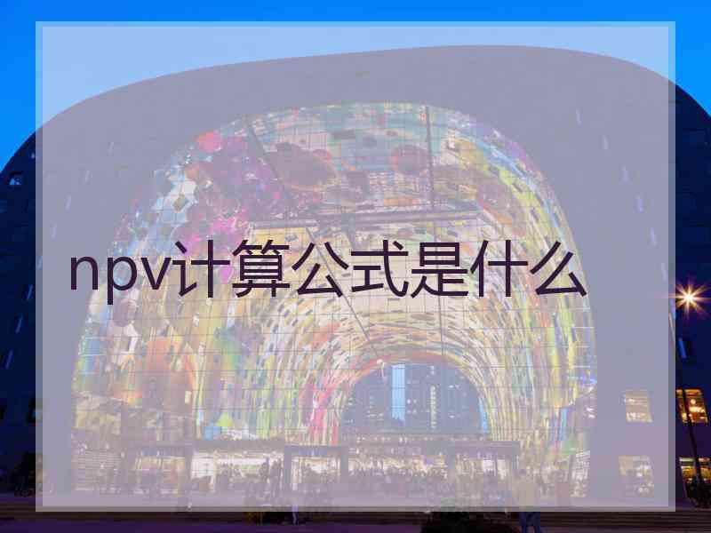 npv计算公式是什么