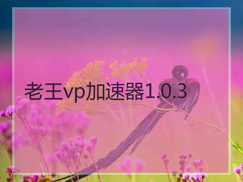 老王vp加速器1.0.3