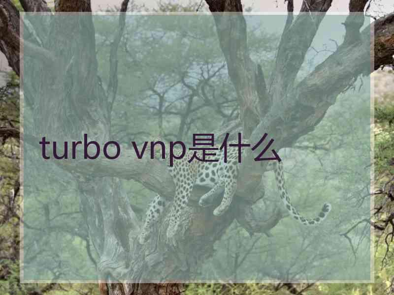 turbo vnp是什么