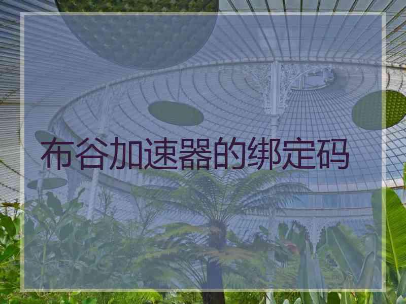 布谷加速器的绑定码